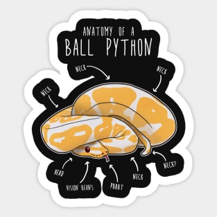 Anatomy of an Albino Ball Python Sticker